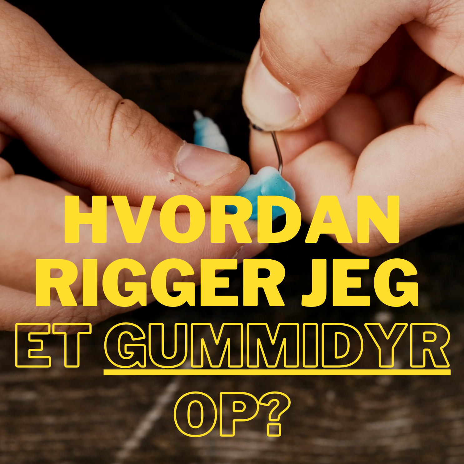 Sådan rigger du dit gummidyr op!