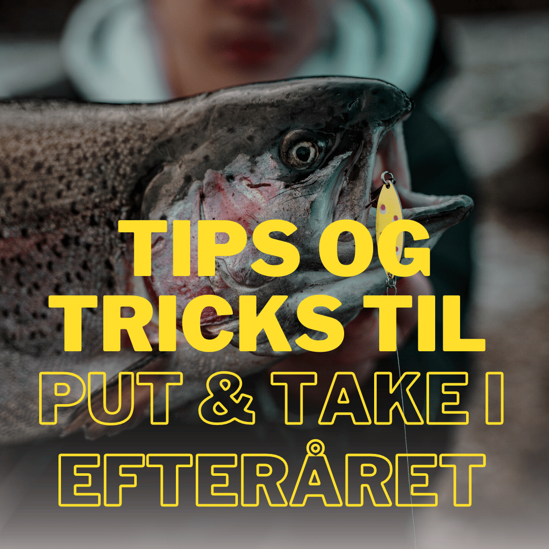 Tips og tricks til Put & take i efteråret