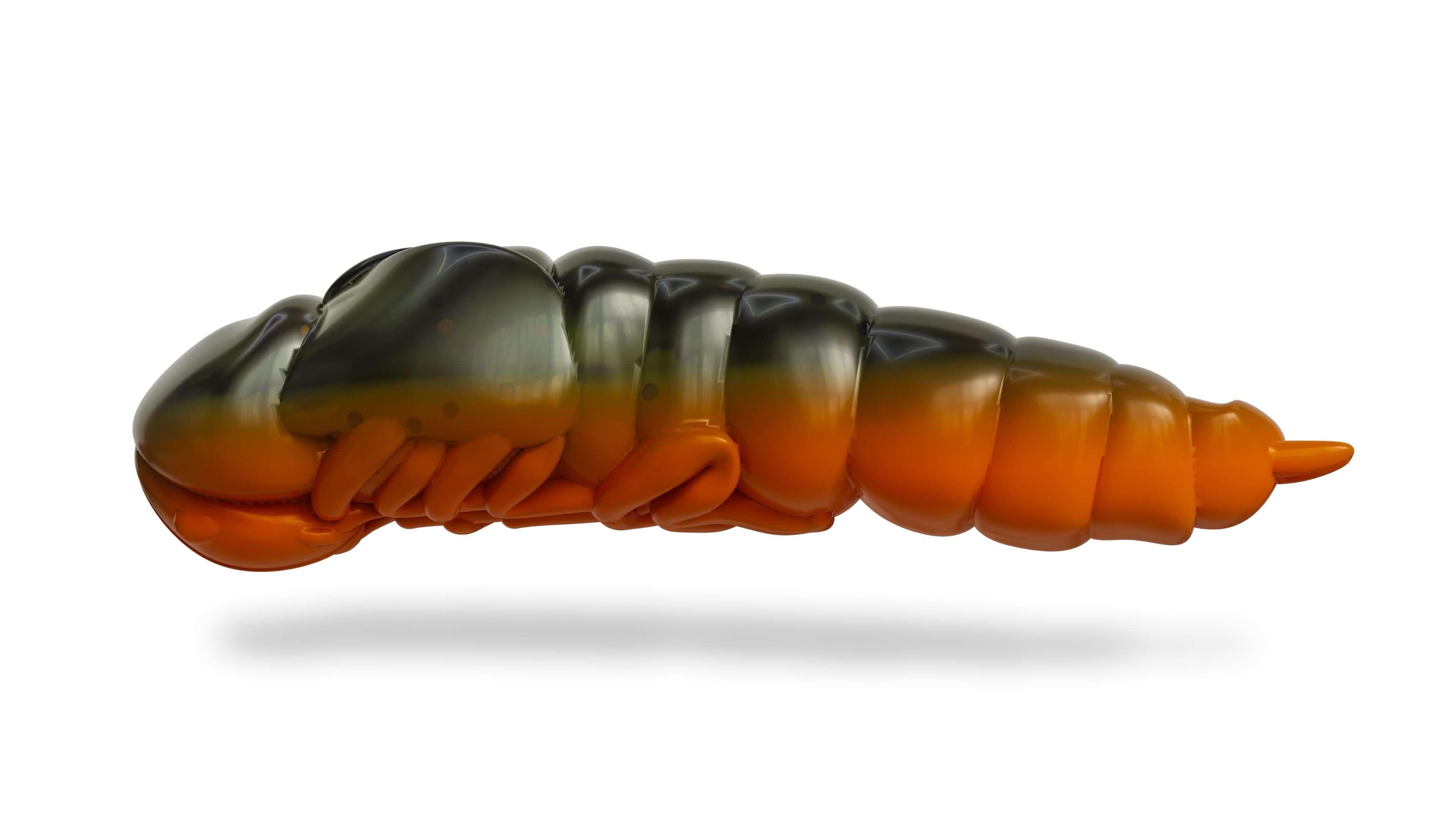 Lively Larva 40mm Pumpkin Orange