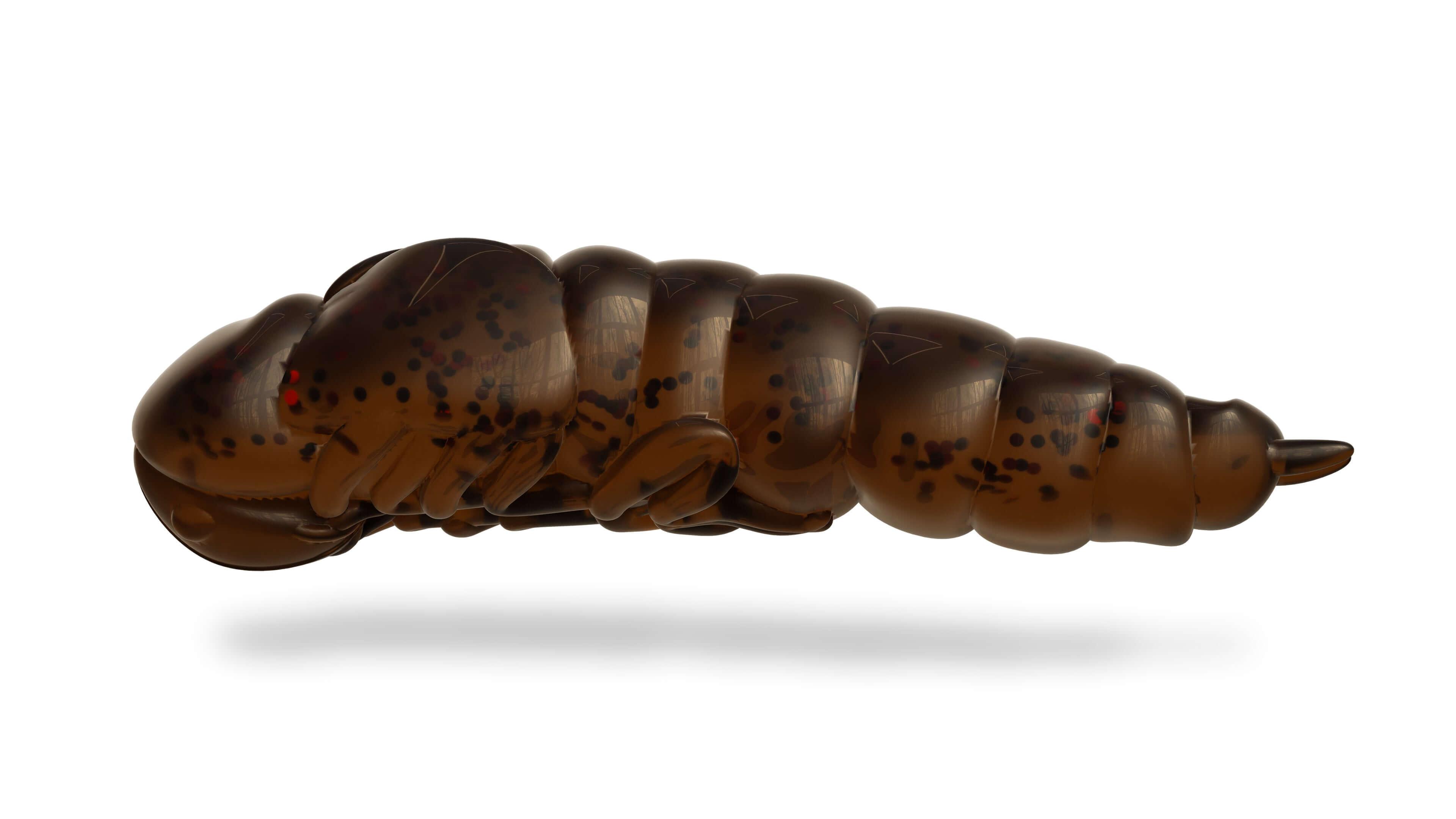 Lively Larva 40mm Mørk Motor Oil